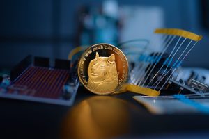Dogecoin (Twitter x Elon Musk