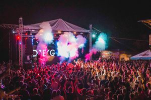 Nederlandse muziek exportwaarde