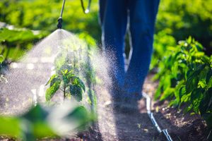 Schadevergoeding Bayer