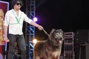 De duurste hond ter wereld met zijn nieuwe baasje uit India