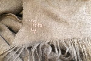 Pashmina, de duurste stof ter wereld, is tegenwoordig illegaal