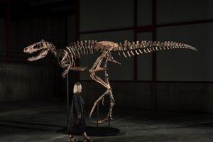 Het dinoskelet dat Sotheby's naar de veiling gaat brengen