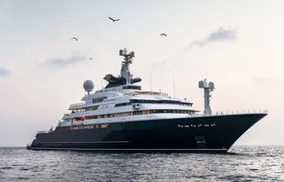 Octopus