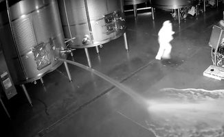 Vandaal heeft 60.000 liter aan wijn verspild