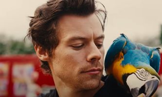 Vermogen van Harry Styles