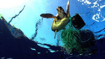 breitling ocean conservancy samenwerking partnership Pure Luxe