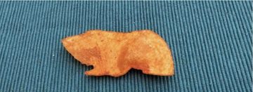 Paprikachipje cavia