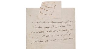 Kattenbel Michelangelo