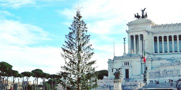 Rome betaalt voor de armoedigste kerstboom van het jaar Spelacchio Pure Luxe