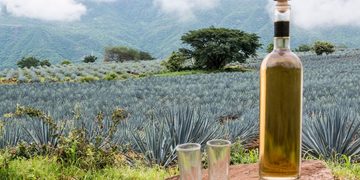 tequila whiskey