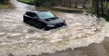 Jaguar