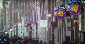 The Bulldog