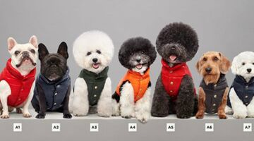 moncler mondog kleding fashion voor honden Pure Luxe