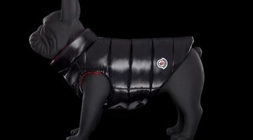 moncler poldo dog couture puffer jacket kleding Pure Luxe