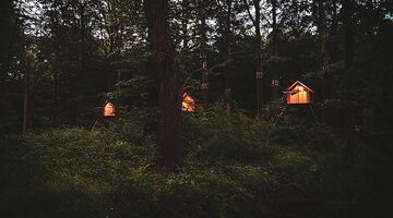 Boomkamp Treehouse Hotel Ryckevelde Bos België Pure Luxe