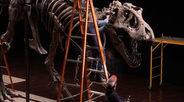 Stan the T-Rex dinosaurus Christie's New York veiling Pure Luxe