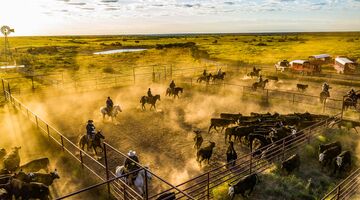 Cowboy
