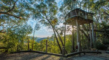Boomhut Australië