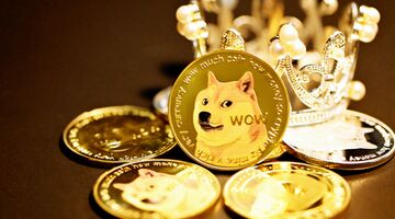 Shiba Inu