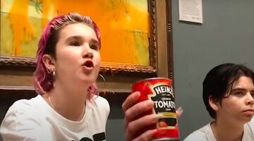 Zonnebloemen - activisten