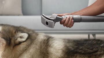 Dyson hondenhaar