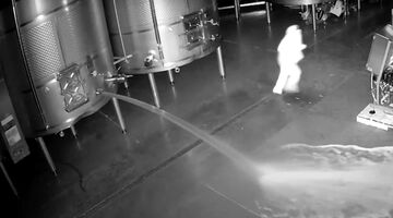 Vandaal heeft 60.000 liter aan wijn verspild