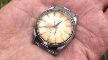 Rolex koe