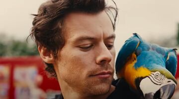 Vermogen van Harry Styles