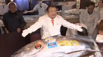 De tonijn die bij een veiling in Tokio &euro; 2,8 miljoen opleverde