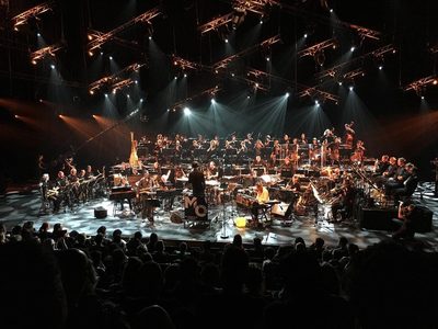 Het metropole orkest subsidie culturele instellingen musici Pure Luxe