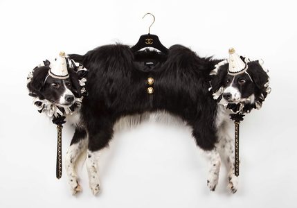 Illustratie voor: Bizarre Chanel ‘Hondenmantel’ van Kunstenaarsduo ‘Les Deux Garçons’ in Museum aan het Vrijthof in Maastricht