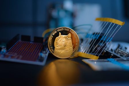Dogecoin (Twitter x Elon Musk