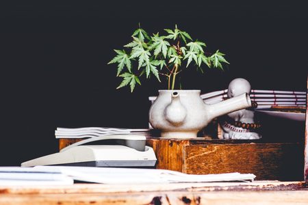 het investeren in wiet is een solide beslissing Pure Luxe