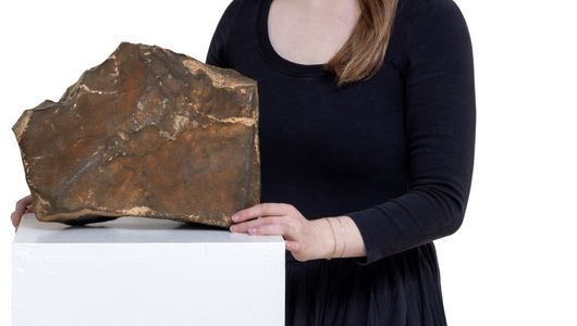 De rots van Mars die naar de veiling ging