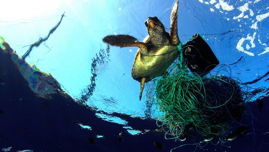 breitling ocean conservancy samenwerking partnership Pure Luxe