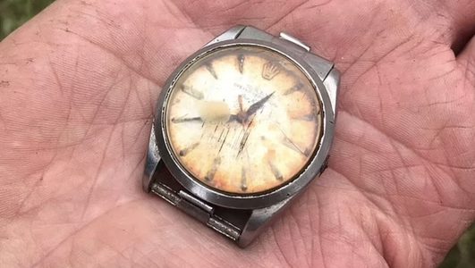 Rolex koe
