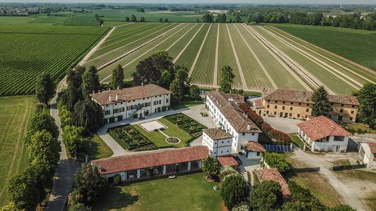 Italiaanse-wijngaard-1