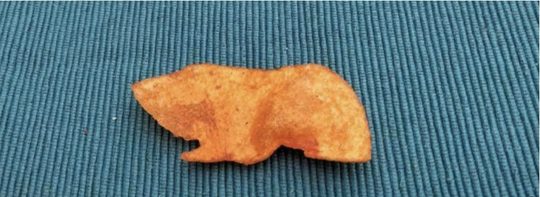 Paprikachipje cavia