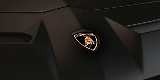 Het logo waarover de Lamborghini's, die een Amerikaanse rapper zijn collega's gaf, beschikken
