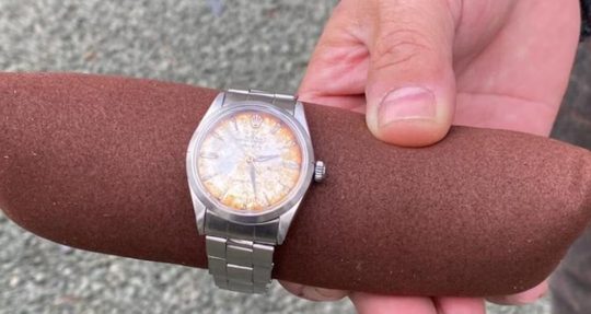 Rolex door ontlasting koe