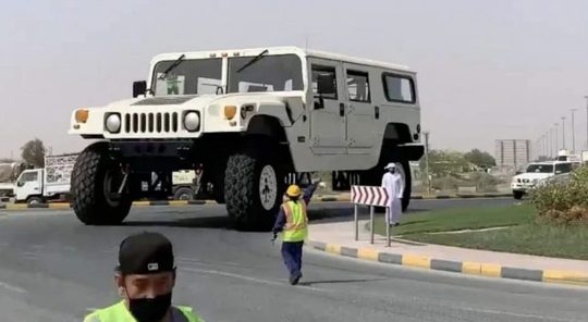 Grootste Hummer op aarde