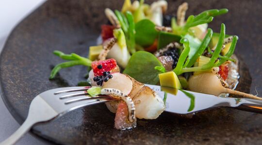 Illustratie voor: Luxe lijstjes: 8 seafood restaurants in Amsterdam met fantastische kaviaar, oesters en kreeft