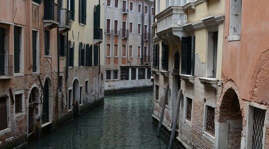 Illustratie voor: Tom Ford Maakt Zijn Film Comeback Op het Venice Film Festival Dit Weekend