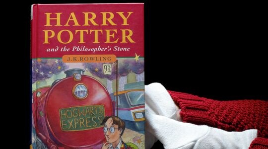 harry potter boek steen der wijzen Pure Luxe