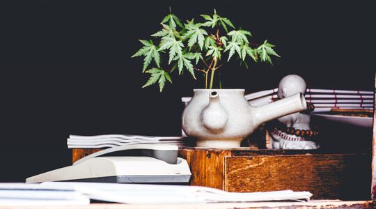 het investeren in wiet is een solide beslissing Pure Luxe