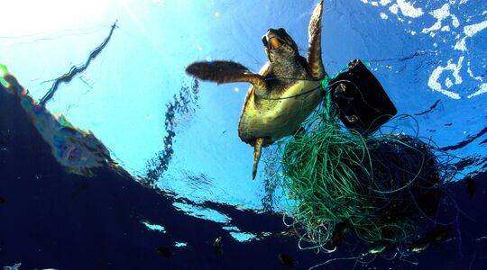 breitling ocean conservancy samenwerking partnership Pure Luxe