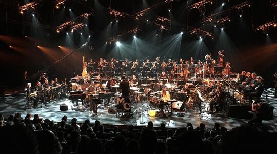 Het metropole orkest subsidie culturele instellingen musici Pure Luxe