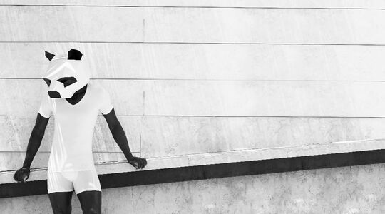bamigo basics ondergoed sokken tshirts Pure Luxe