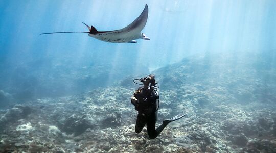 navy seal for a day adventure trident adventures Pure Luxe