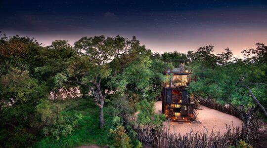 Afrika safari &Beyond Ngala Treehouse boomhut Pure Luxe